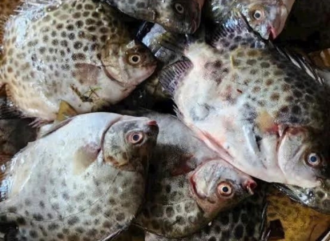 CƠM TRƯA VĂN PHÒNG TẠI BÌNH THẠNH NĂM 2025